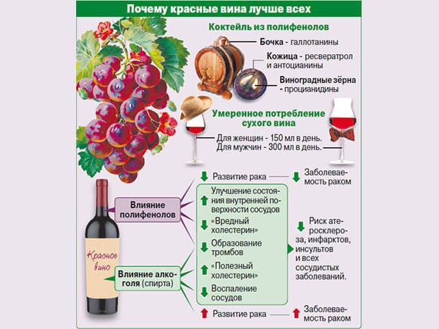 Каковы польза и вред красного вина для здоровья