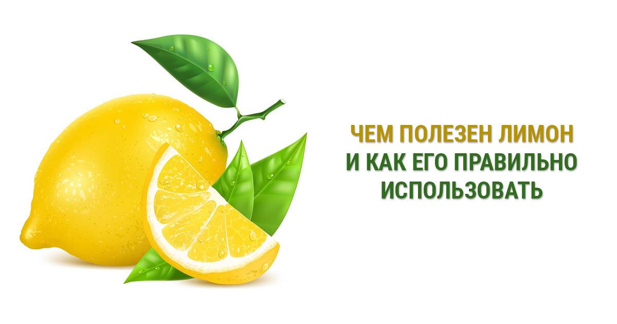 Лимон: польза и вред для организма человека. какими целительными свойствами он обладает?