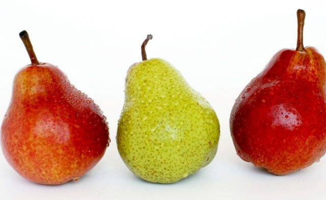 Чем полезна груша, и как правильно употреблять любимый с детства фрукт