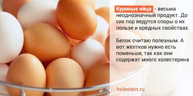 Польза и вред куриных яиц для организма человека, противопоказания