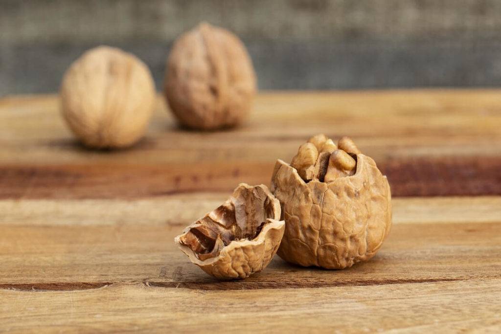 Польза и вред грецких орехов для здоровья человека