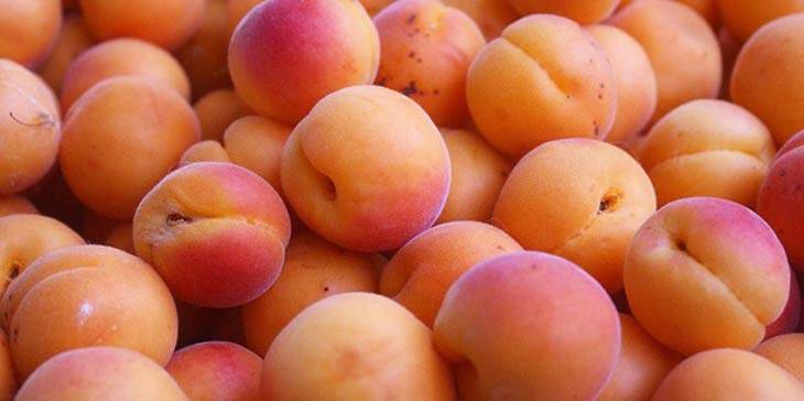 “абрикос: польза плодов и косточек, лечебные свойства и противопоказания”