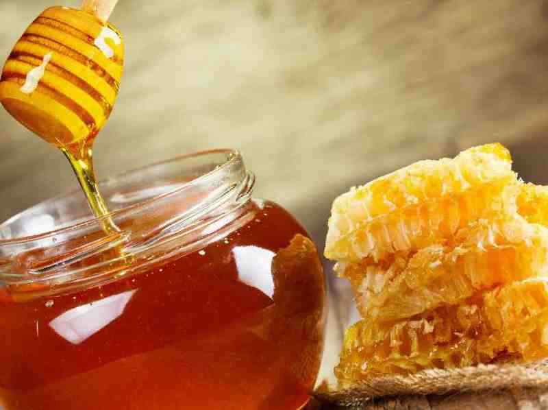 Горный мед (разнотравье) – полезные свойства и противопоказания, лечение медом