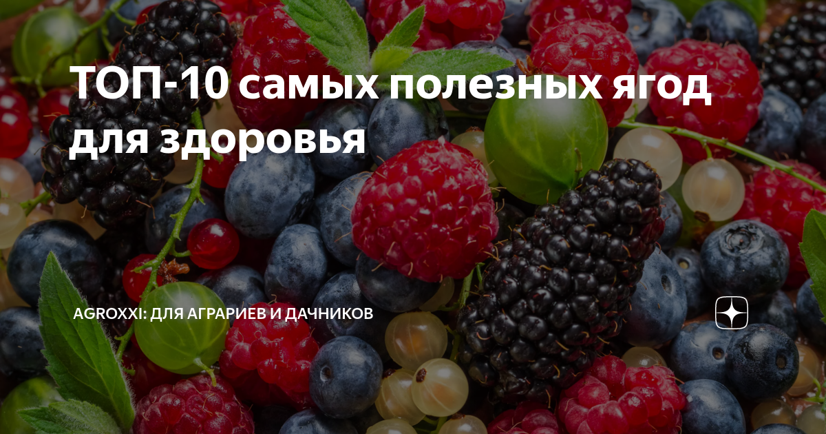 Самые полезные ягоды и фрукты. топ-10 самых полезных ягод