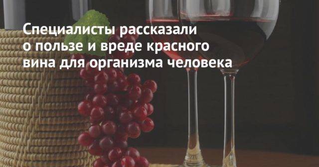 Красное вино — польза и вред