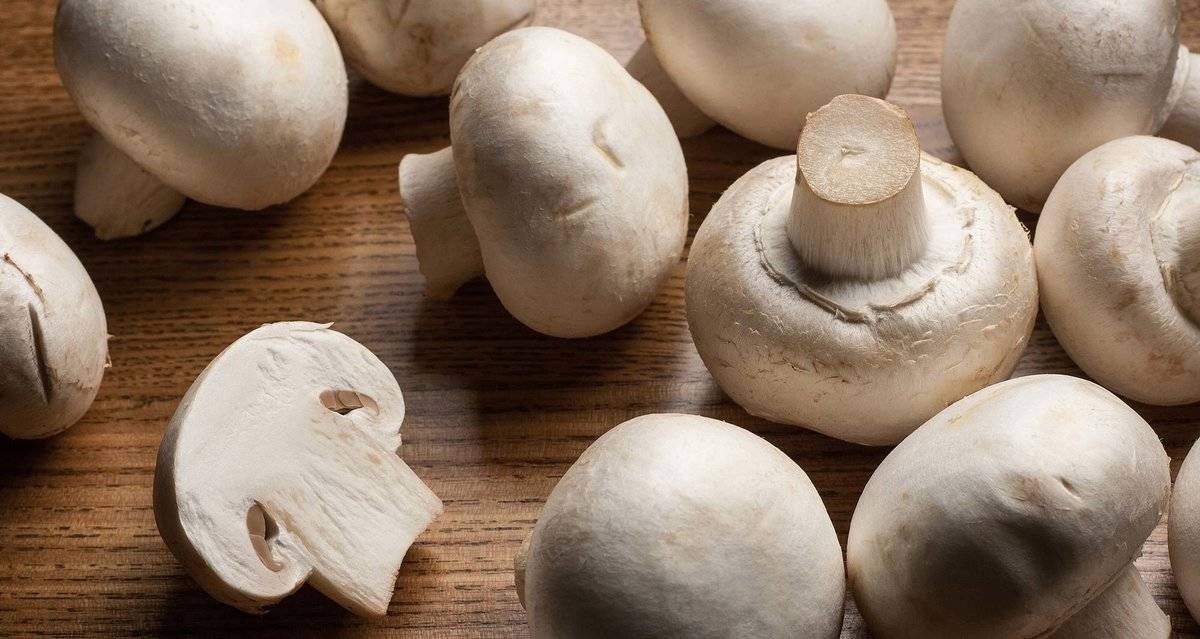 Разнообразим рацион: можно ли грибы при грудном вскармливании и какие?