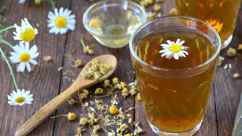 Чай из ромашки: полезные свойства и противопоказания