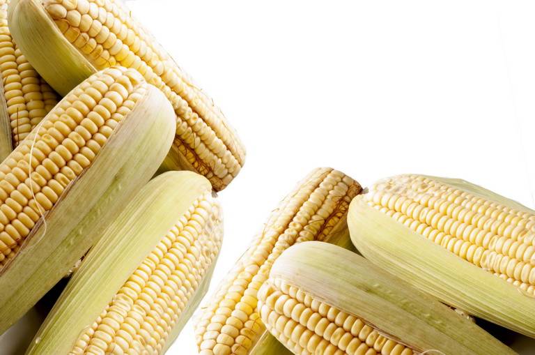 Сколько калорий в вареной кукурузе, польза и вред, рецепты