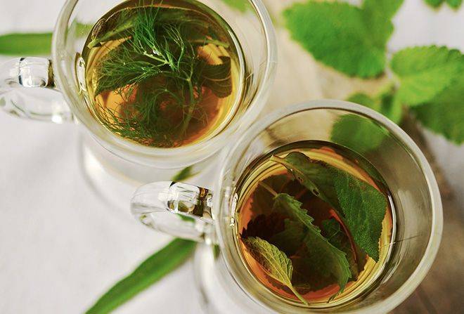 Польза чая с мятой, рецепты вкусного напитка и секреты приготовления. противопоказания и возможный вред