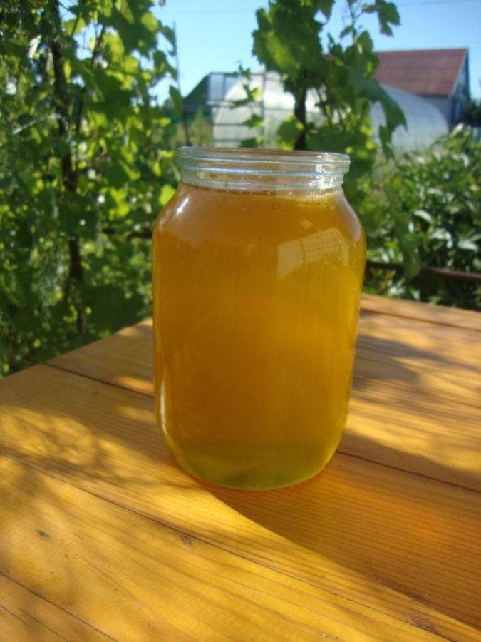 Подсолнечный мед – все про пользу этого продукта пчеловодства в одной статье