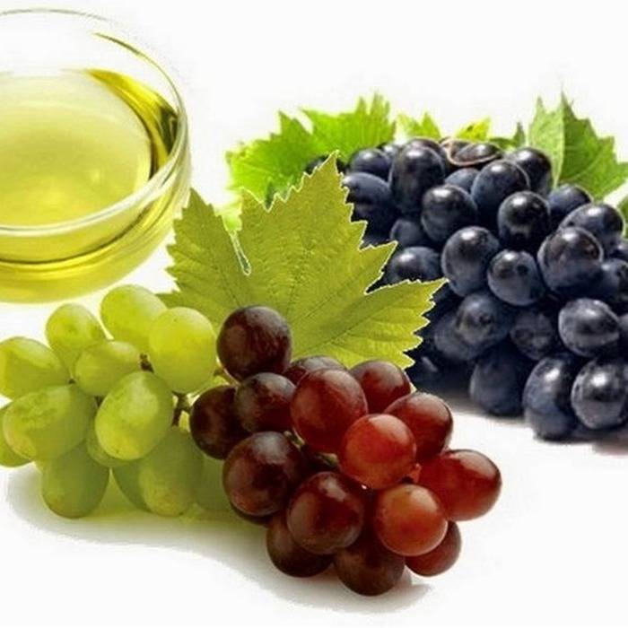 Польза виноградного масла для организма человека