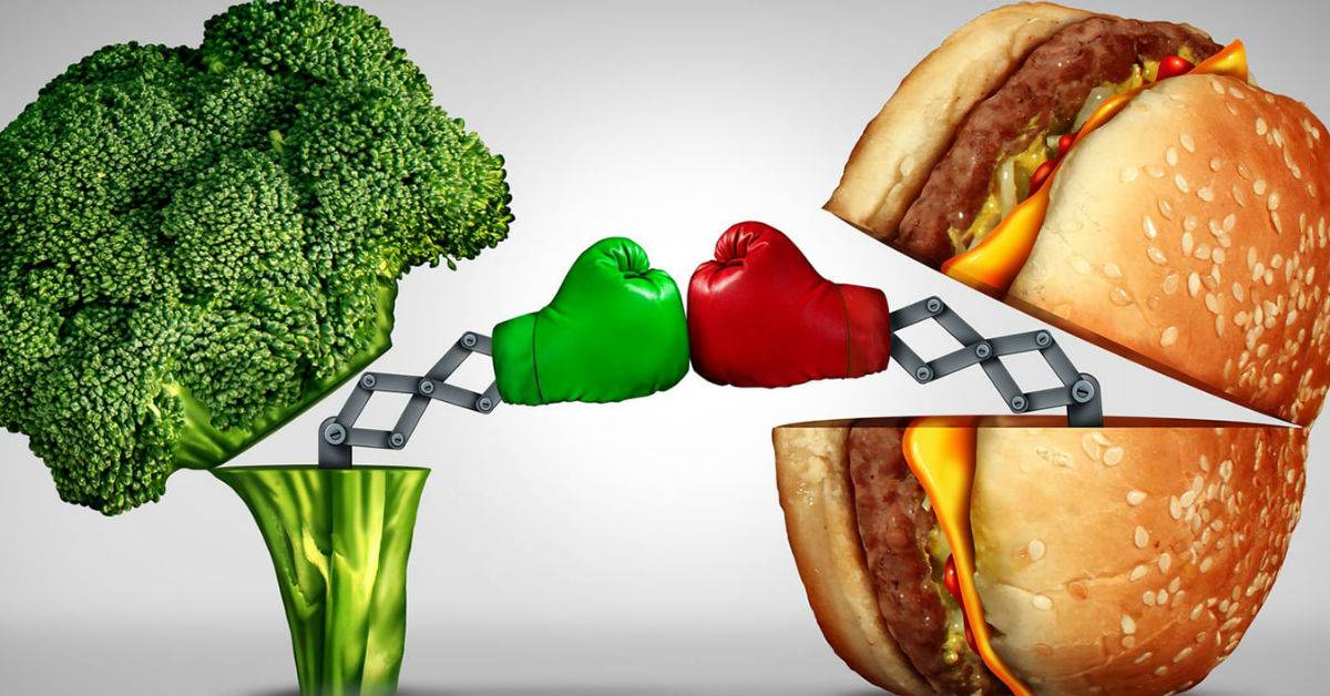 Полезные и вредные продукты, разбираемся что можно есть, а чего не стоит почему так важно питаться правильно?