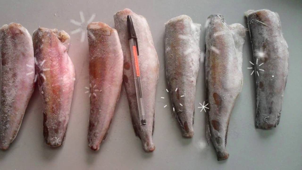 Рыбка хек — польза и особенности состава этого морепродукта. какой может быть вред от хека, как выбрать и приготовить полезную рыбку