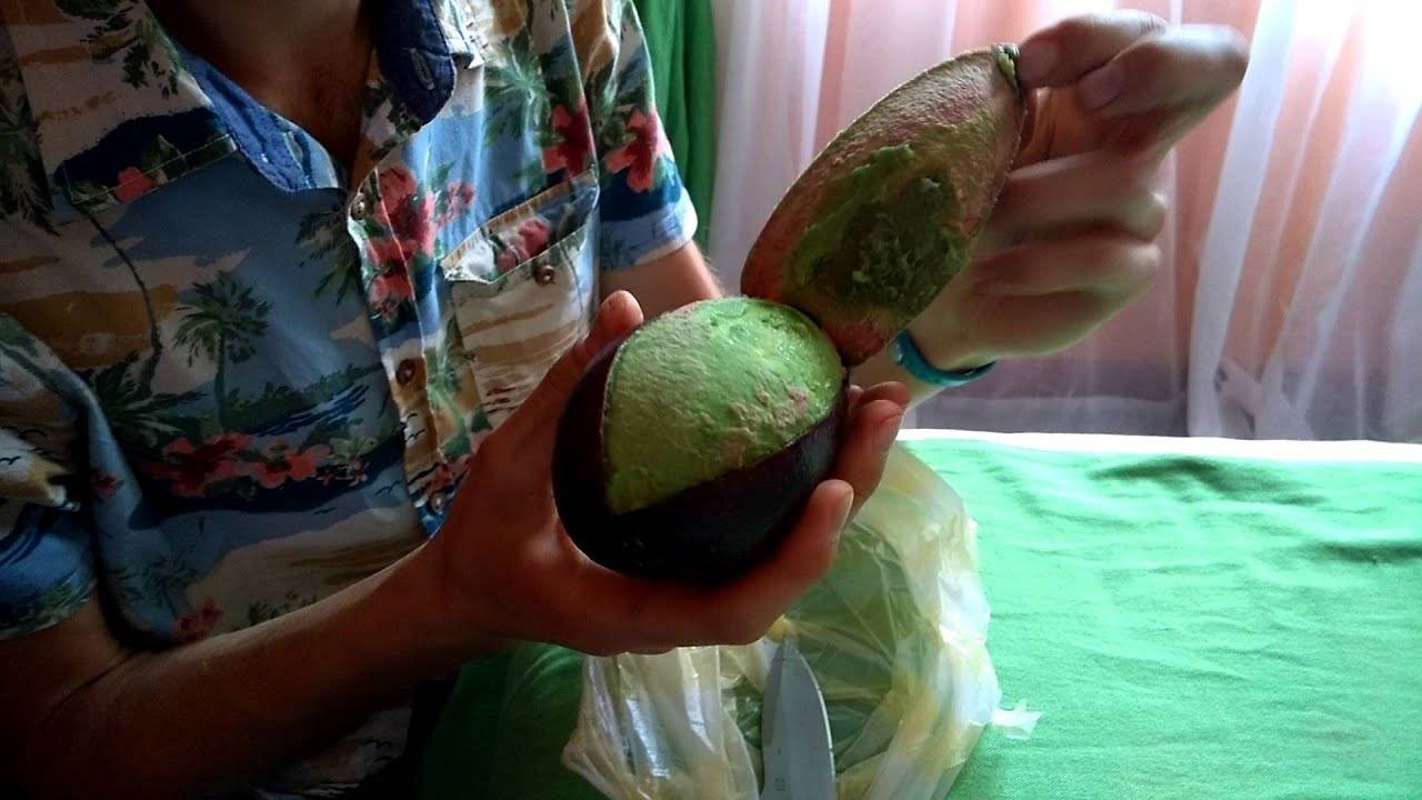 Как хранить авокадо?