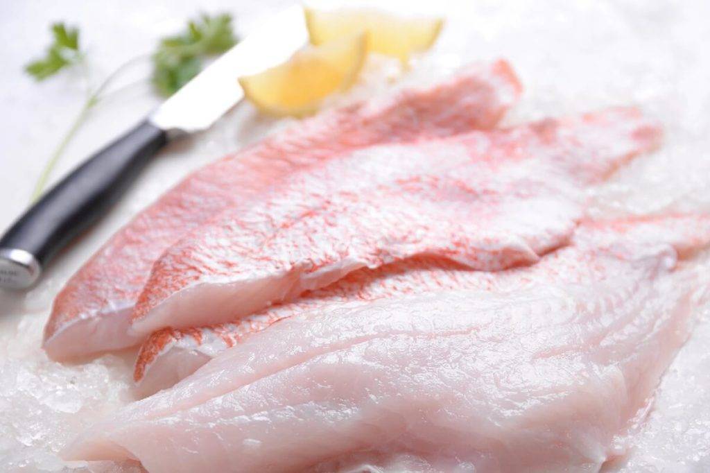 Морской окунь — польза и вред нежирной рыбы. окунь речной польза и вред для организма