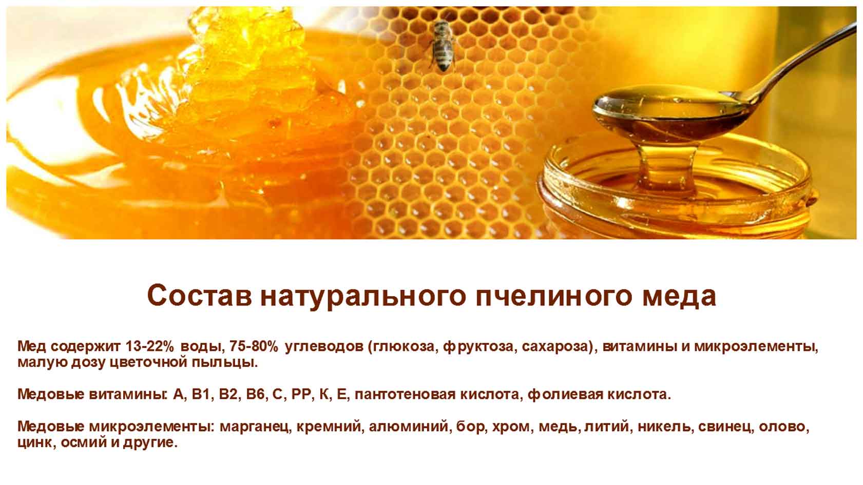 Чем полезен мед для организма человека?