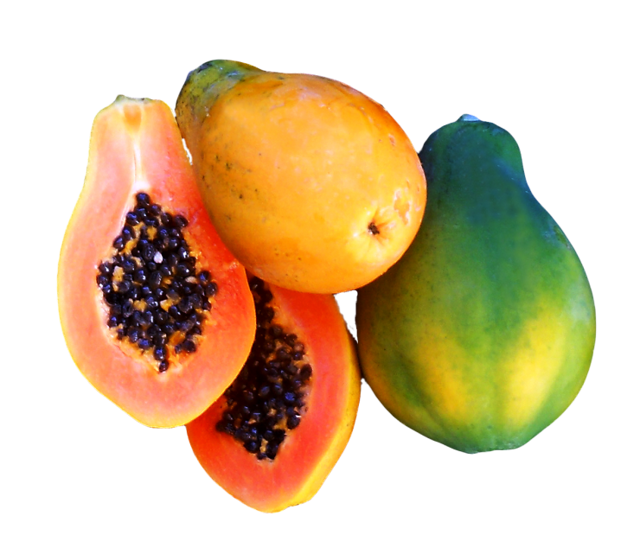Чем полезна папайя для организма?