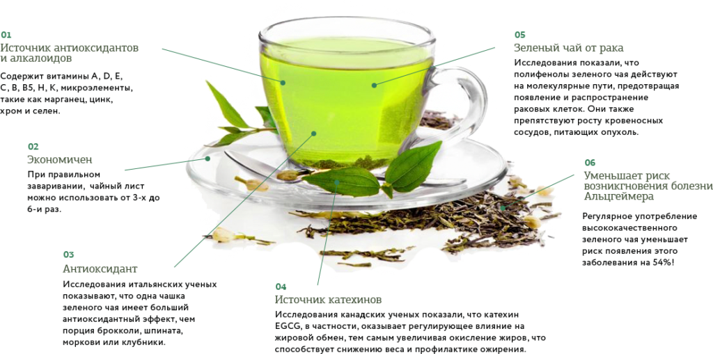 Польза зеленого чая, показания к употреблению
