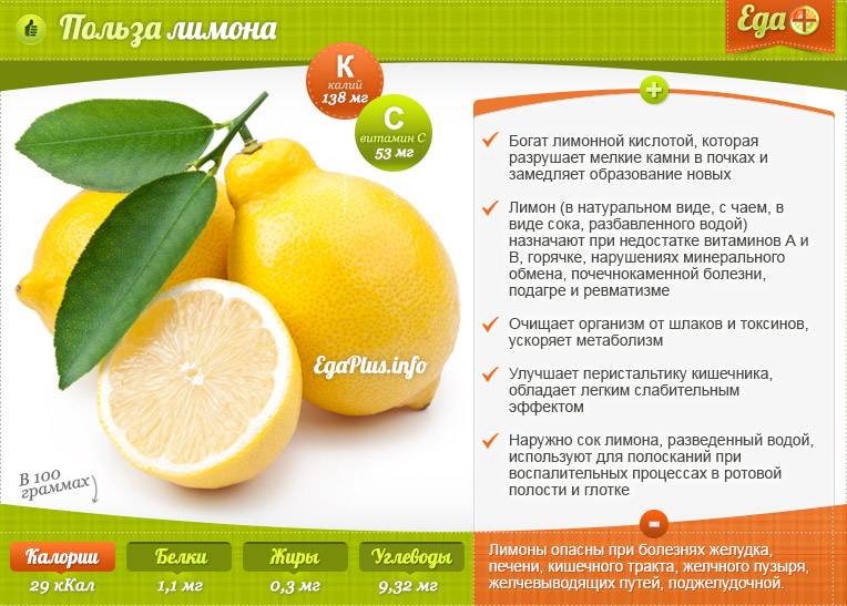 Инструкция по применению настойки лимонника: полезные свойства и противопоказания