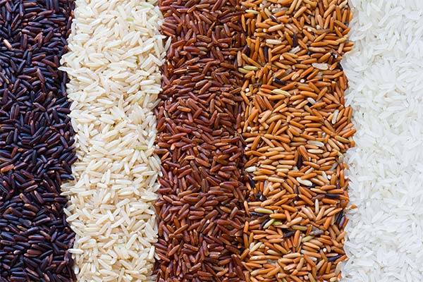 Употребление риса при грудном вскармливании: польза и вред для мамы и ребенка