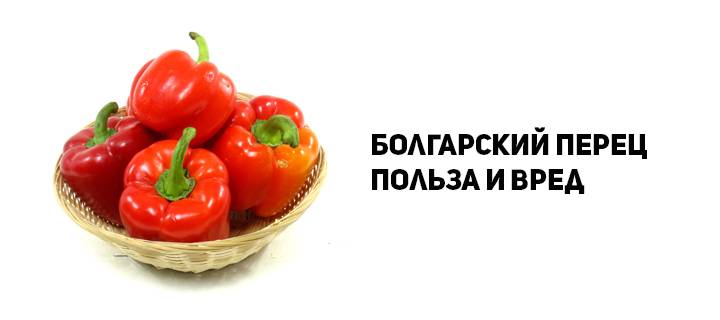 Польза и вред болгарского перца для организма