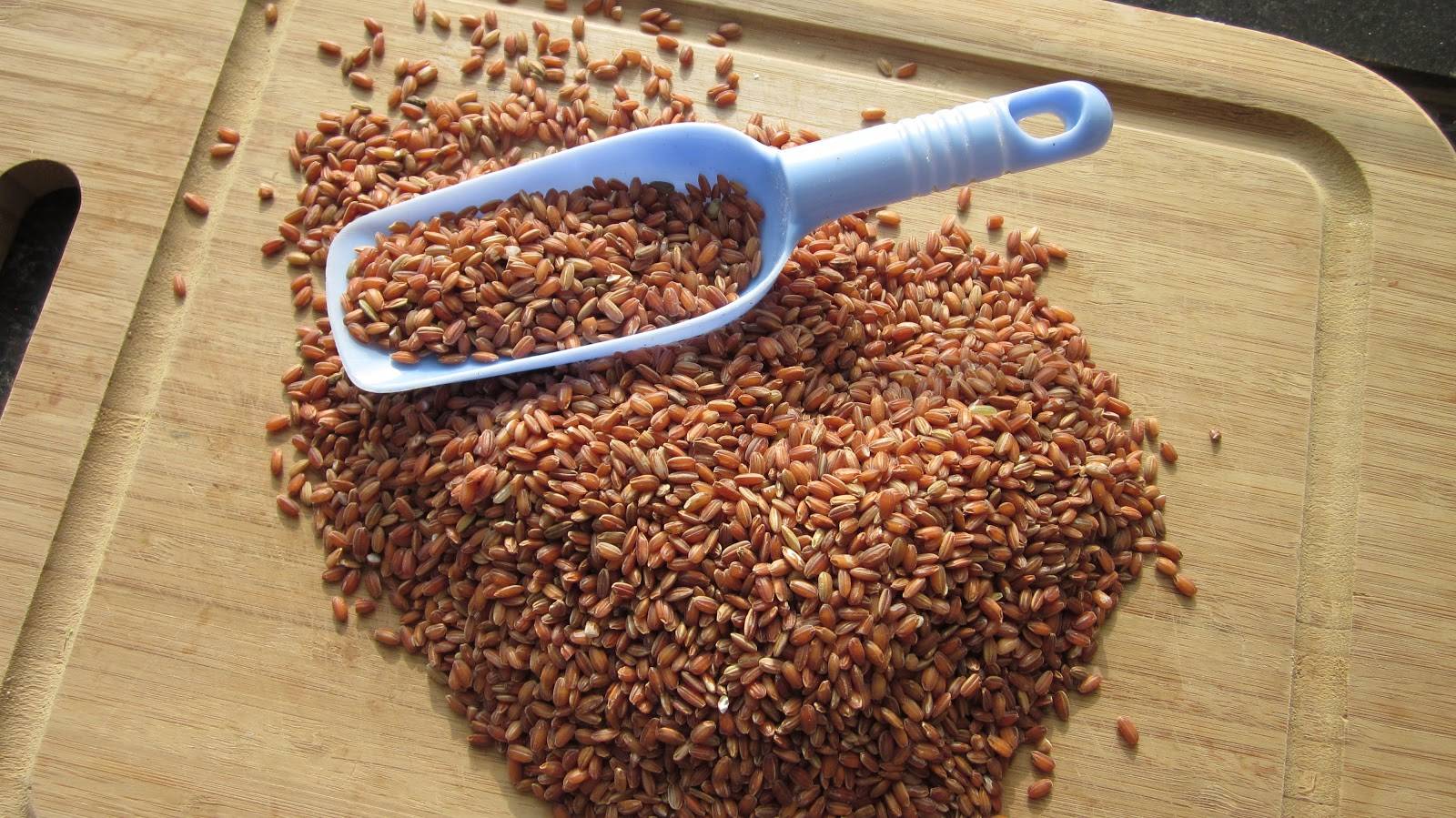 Свойства коричневого риса: польза и вред