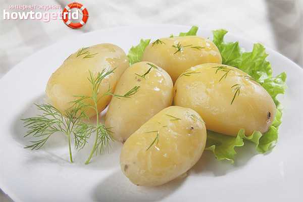 Картофель: польза и вред, калорийность. чем действительно вредит картофель, и кому он полезен