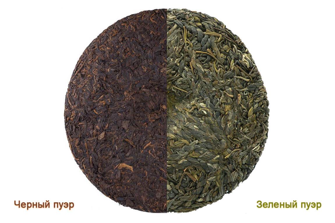 Чай пуэр: полезные свойства, противопоказания, польза и вред