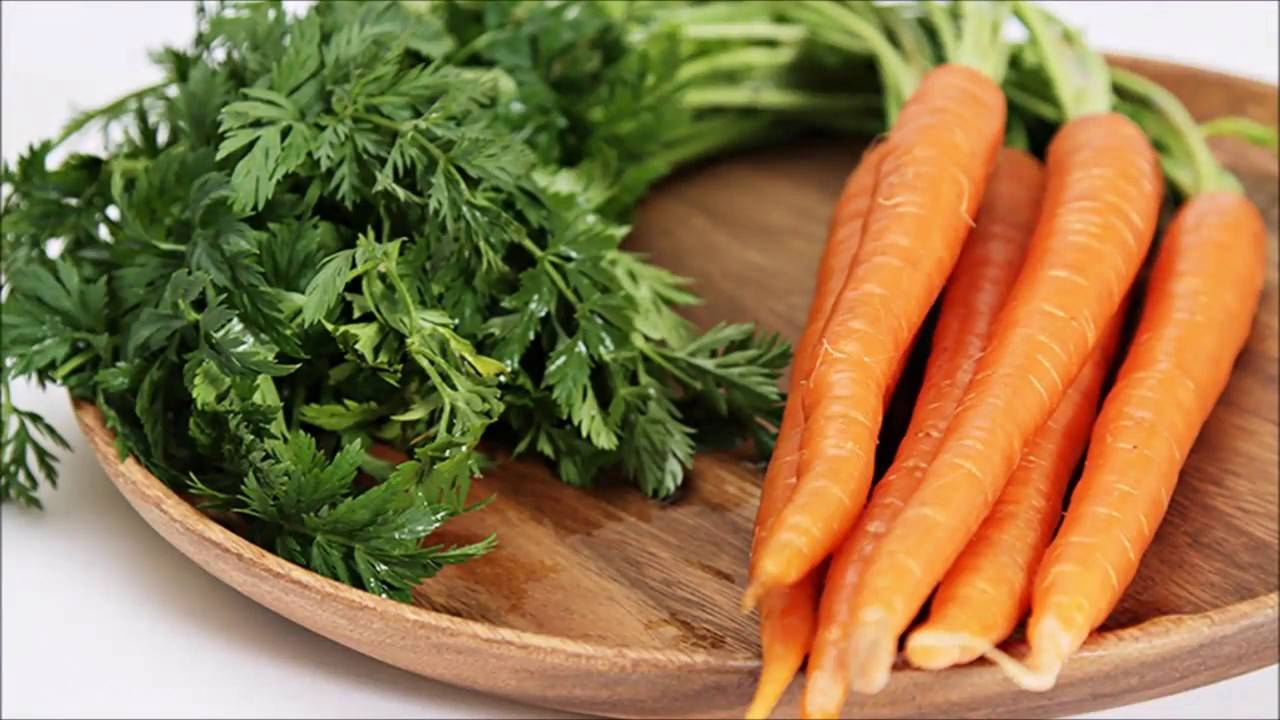 Полезные свойства ботвы моркови и противопоказания к ее употреблению