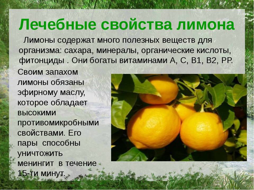 Польза и вред лимонного сока. лимонный сок натощак