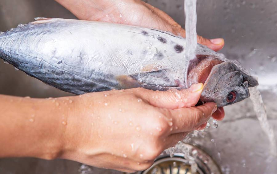 Как правильно разморозить рыбу, способы быстрой разморозки в домашних условиях: объясняем обстоятельно