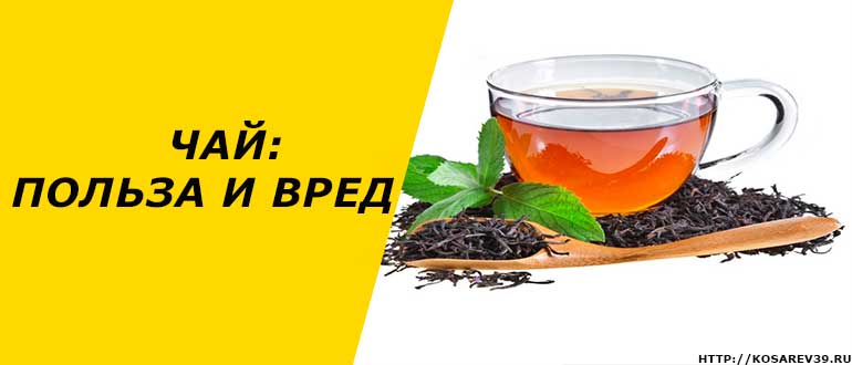 Травяной чай кудин (горькая слеза)