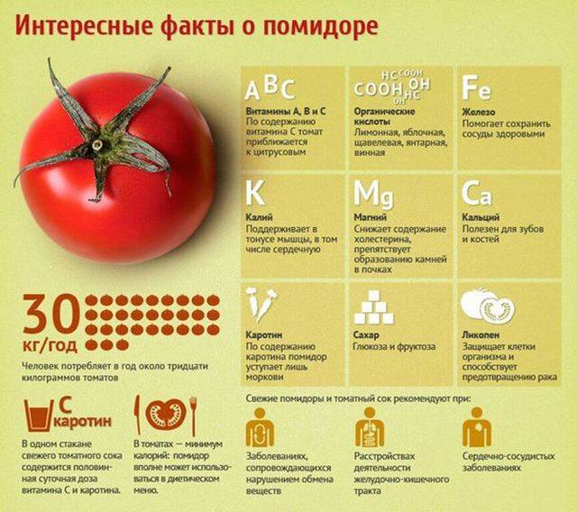 Чем полезны помидоры для человека – 10 доказанных свойств