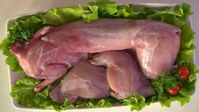 Польза мяса кролика для организма человека