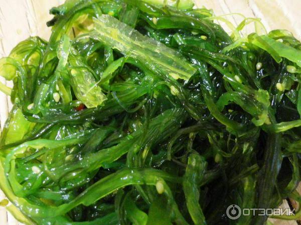 Морские водоросли чука — польза и вред. салат из морских водорослей санта бремор чука
