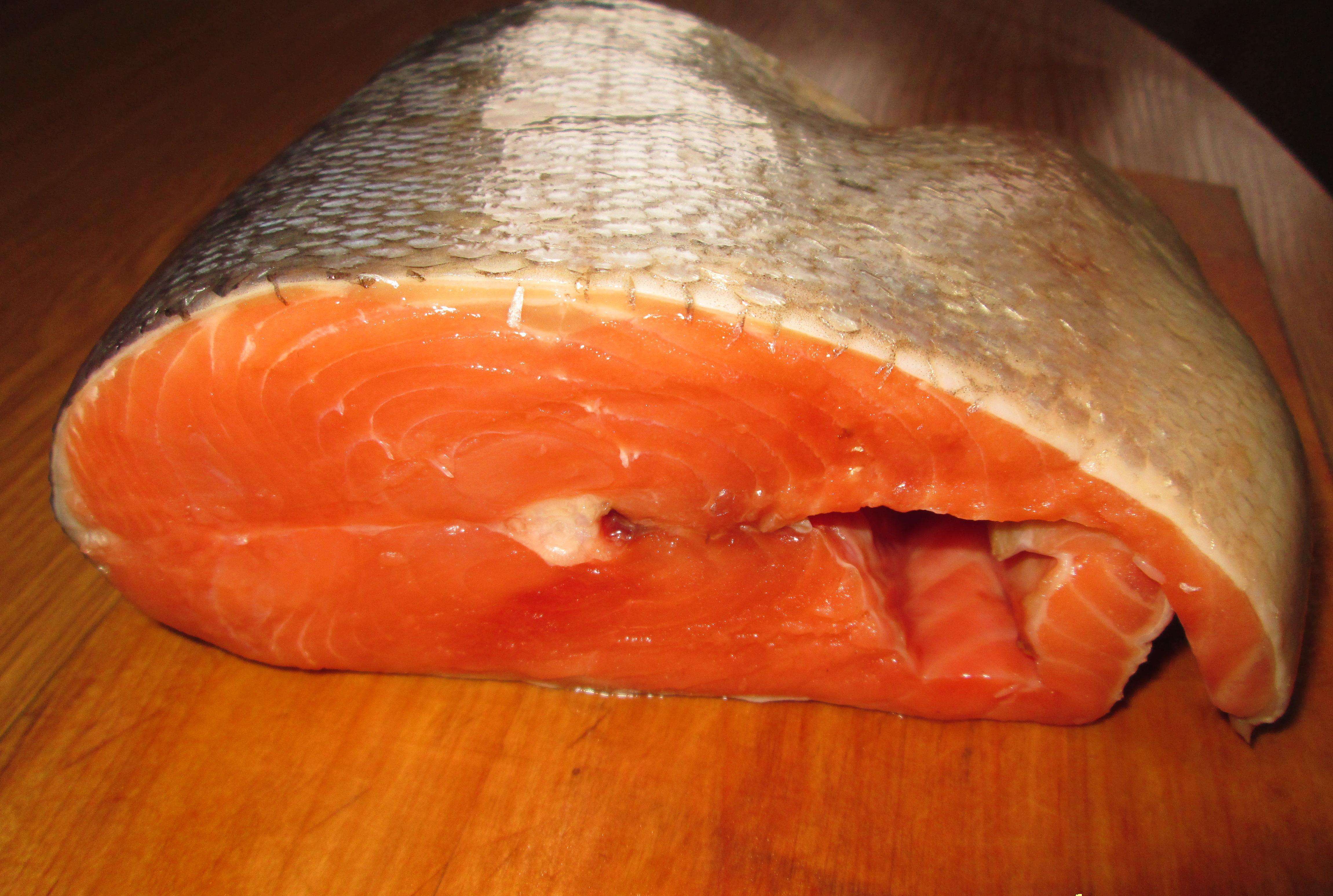 Польза и вред толстолобика, пищевая ценность костлявой рыбы