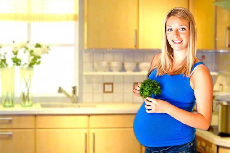 Петрушка при беременности: польза и вред