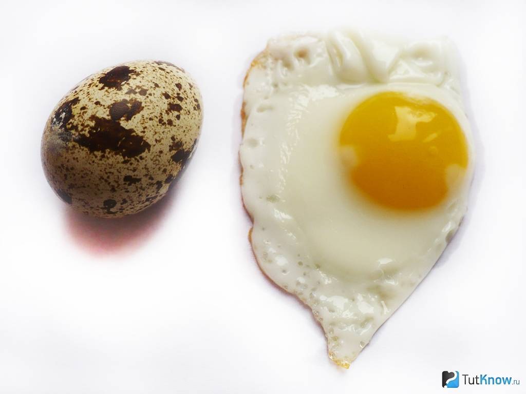 Какие яйца полезнее вареные или жареные?