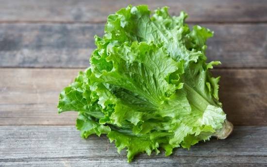 Листовой салат: польза для женщин и мужчин, возможный вред. в чем состоит польза салата и как избежать вреда?