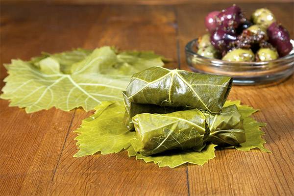 Виноградные листья для долмы на зиму — пошаговые рецепты с фото
