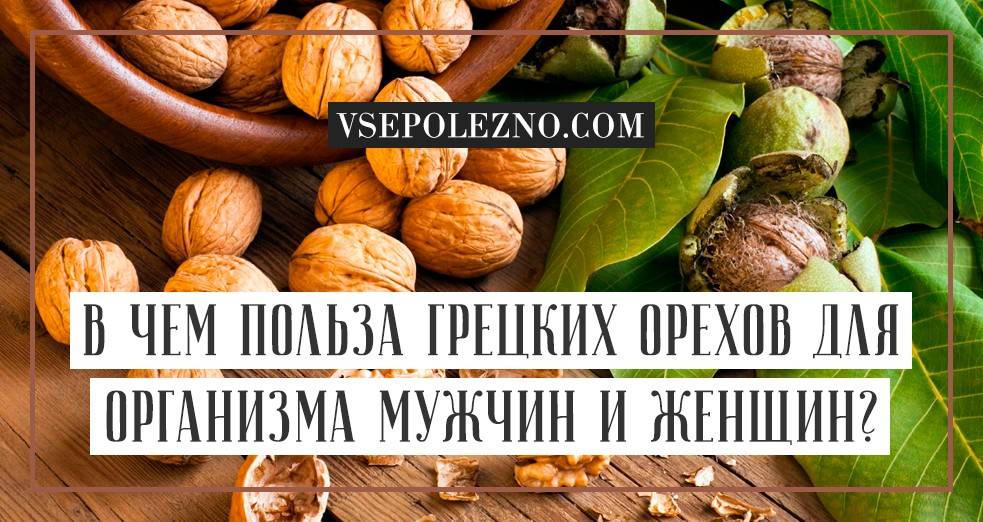Польза и вред молочных грецких орехов. правила употребления, целебные рецепты и иные рекомендации