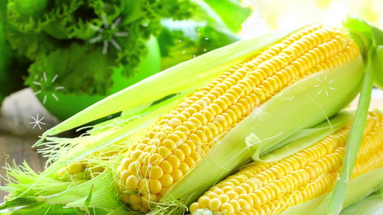 Польза кукурузы для организма женщины