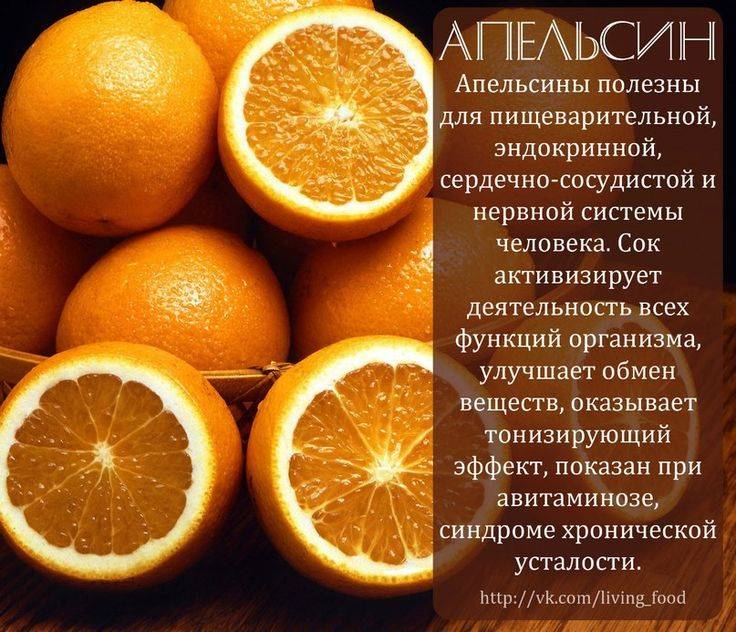 Апельсины. чем полезны оранжевые фрукты?