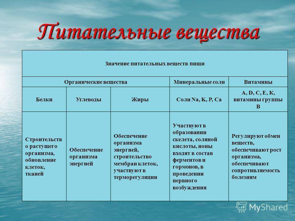 Основные виды питательных веществ и их значение в питании человека презентация