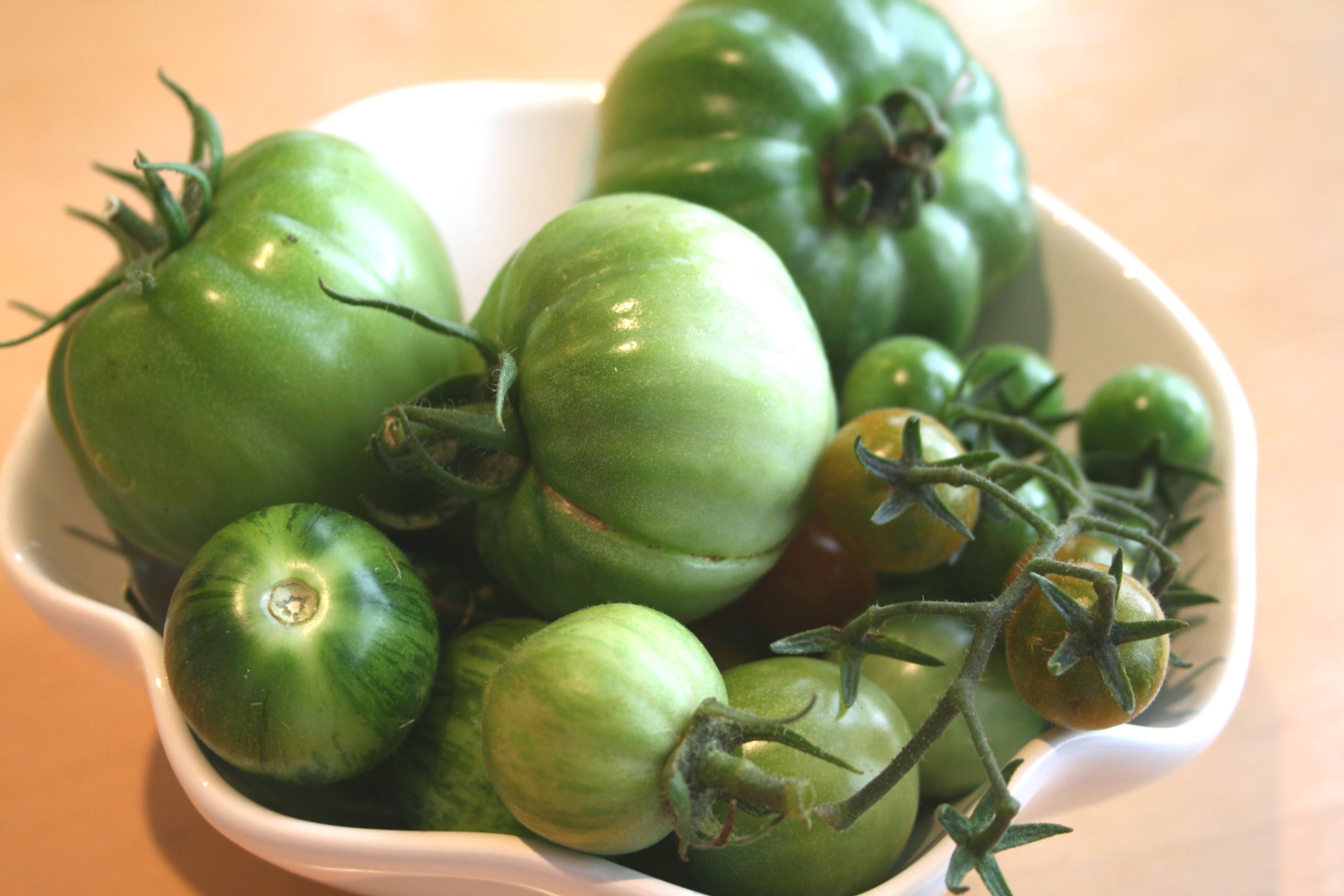 Польза и вред помидоров для организма. при диабете. опасность зеленых помидоров