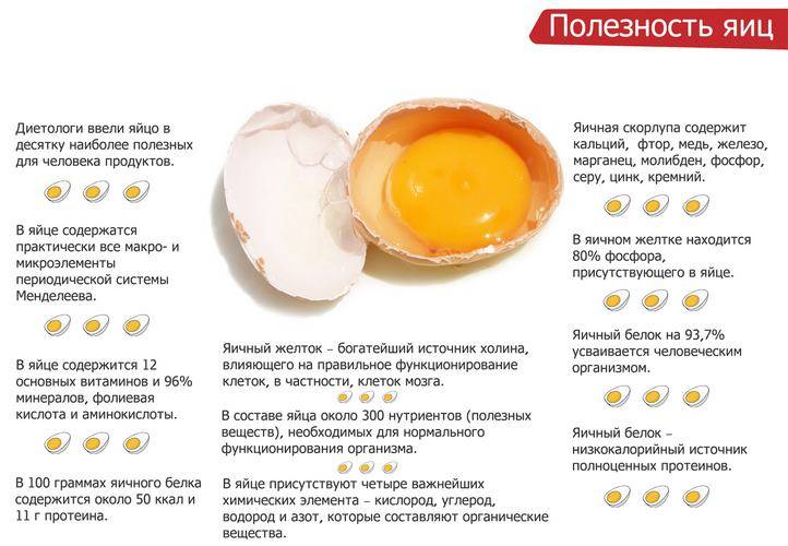 Что более полезно яичница или омлет