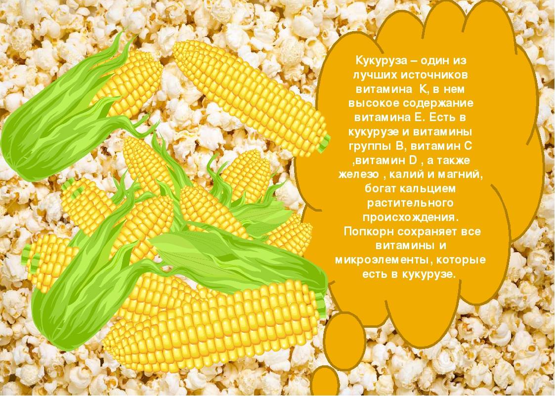 Золотые зерна для вашего здоровья – польза и вред кукурузы