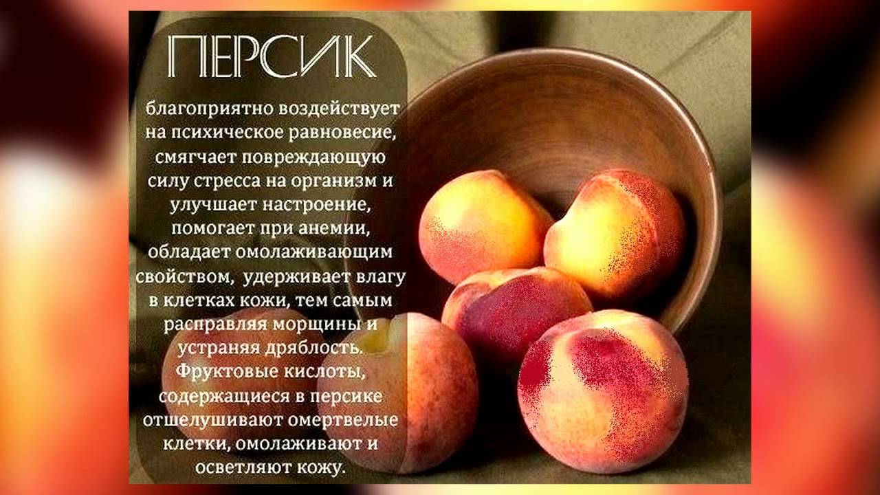 Польза и вред персиков для здоровья     