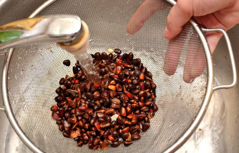Как чистить кедровые орехи от скорлупы в домашних условиях