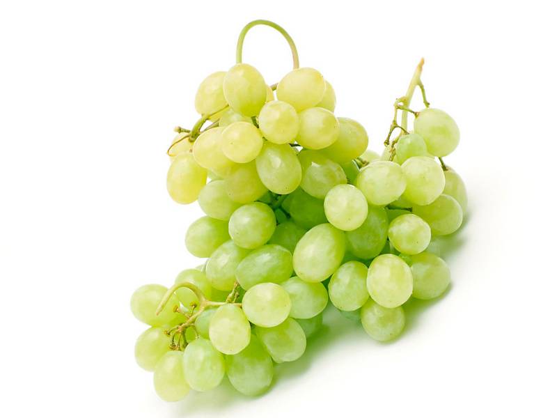 Польза и вред винограда для организма человека. состав, калорийность